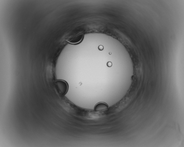 X0000114230757200910161611