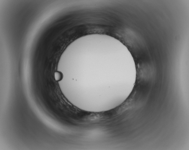 X0000114230764200910161611