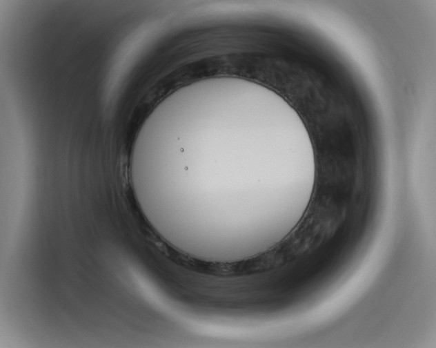 X0000114230766200910161611