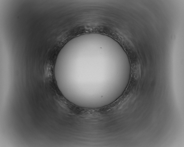 X0000114230770200910161610