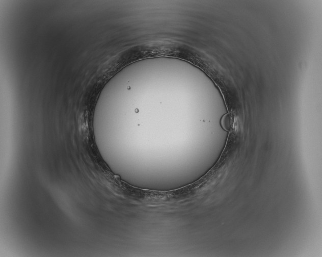 X0000114230771200910161610