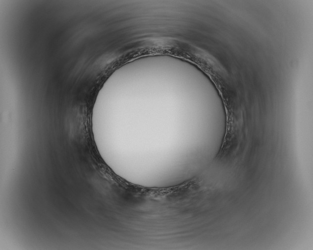 X0000114230773200910161610
