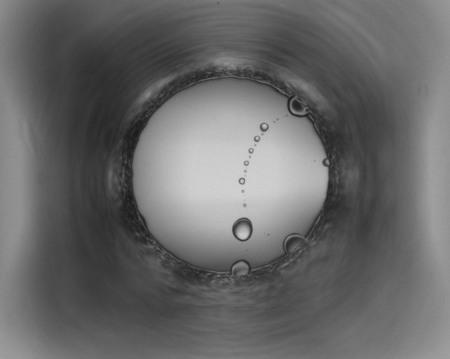 X0000114230776200910161610