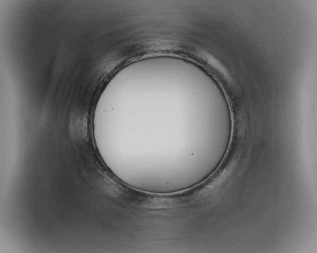 X0000114230777200910161610