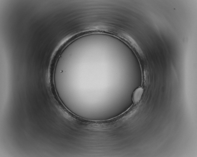 X0000114230780200910161610