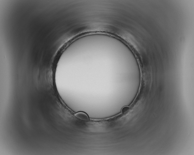 X0000114230781200910161610