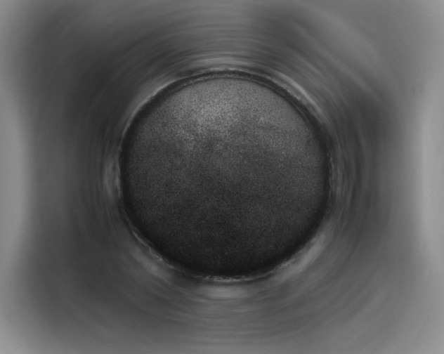 X0000114230782200910161610