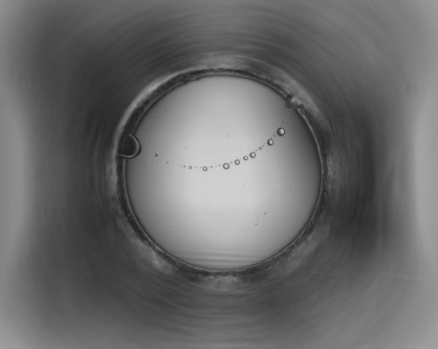 X0000114230784200910161610