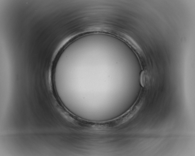 X0000114230788200910161610