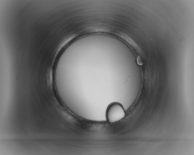 X0000114230790200910161610