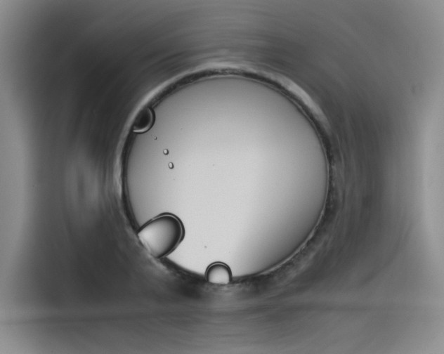 X0000114230791200910161610