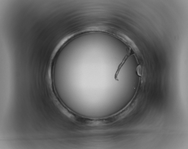 X0000114230796200910161610