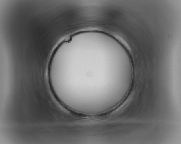 X0000114230797200910161610