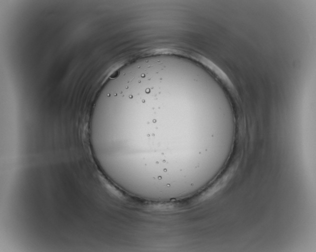 X0000114230801200910161610