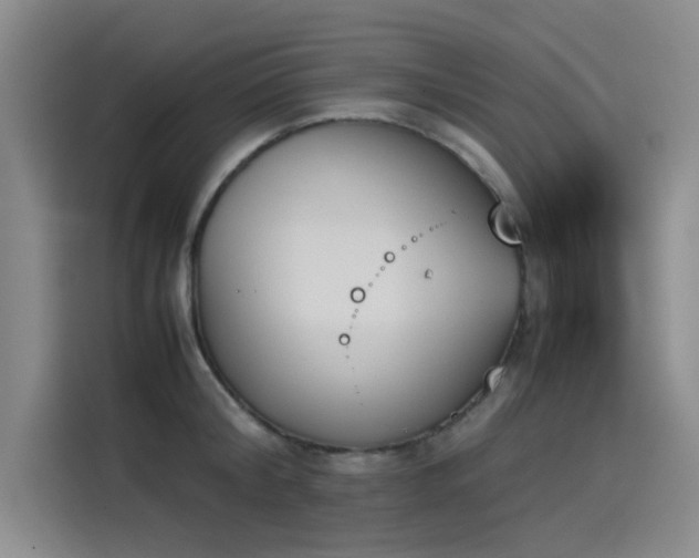 X0000114230804200910161610