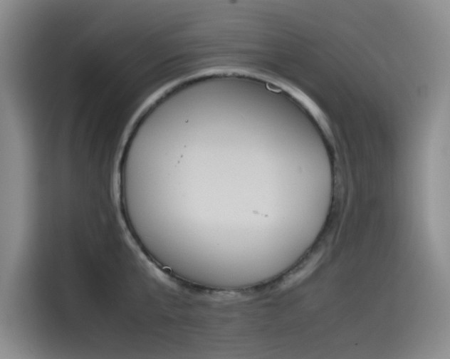 X0000114230807200910161610