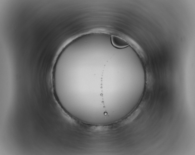 X0000114230808200910161609
