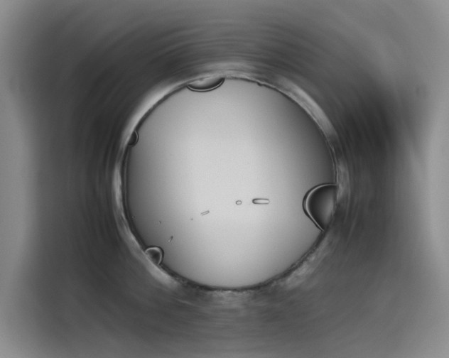 X0000114230812200910161609