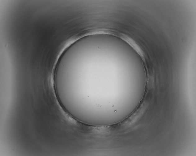 X0000114230813200910161609