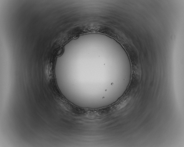 X0000114230818200910161609