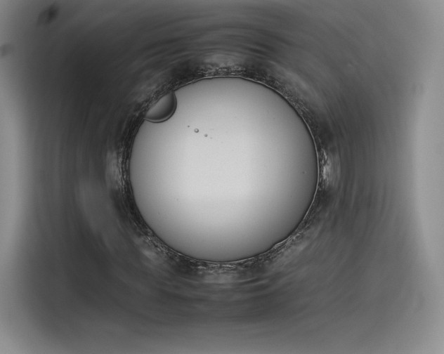 X0000114230819200910161609