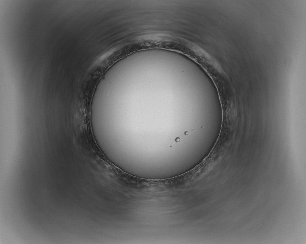 X0000114230822200910161609