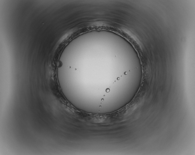 X0000114230823200910161609