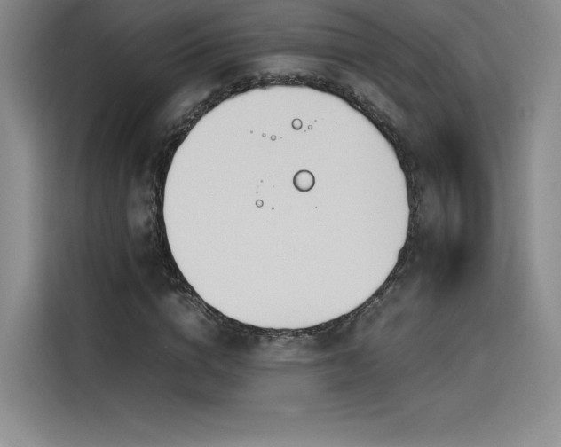 X0000114230824200910161609