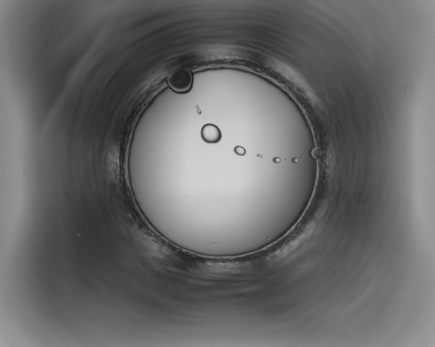 X0000114230825200910161609