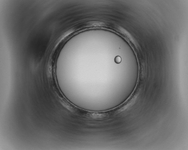 X0000114230827200910161609