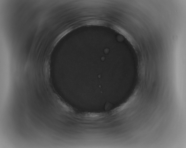 X0000114230829200910161609