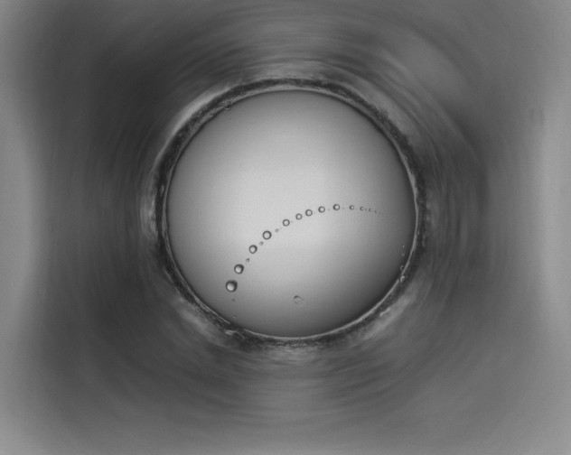 X0000114230830200910161609