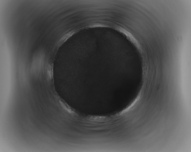 X0000114230833200910161609