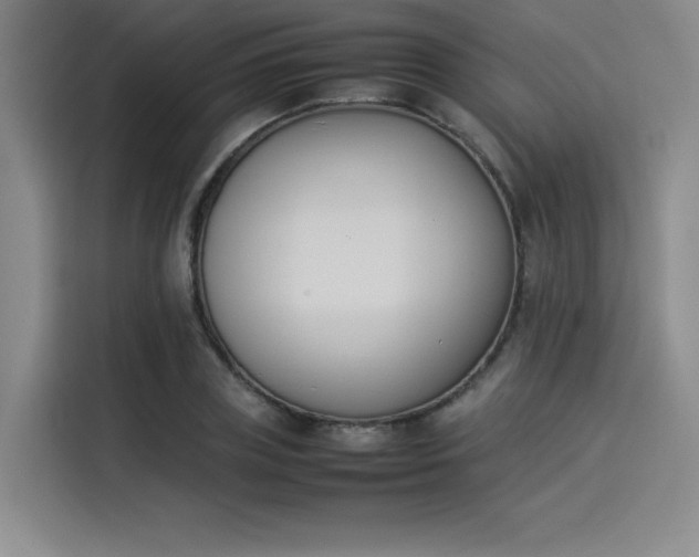 X0000114230835200910161609