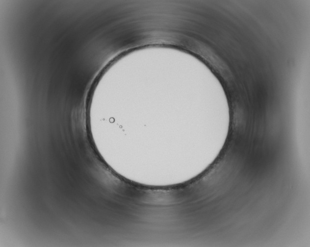 X0000114230836200910161609