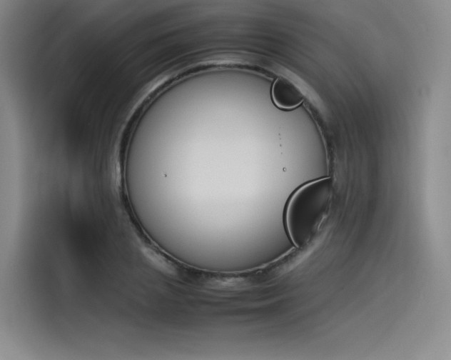 X0000114230837200910161609