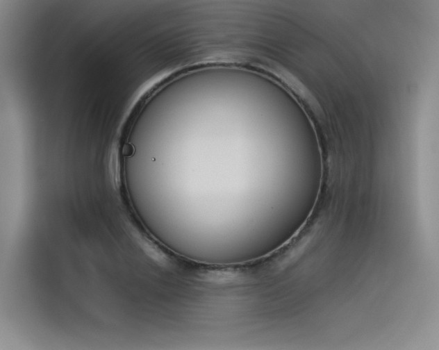 X0000114230838200910161609