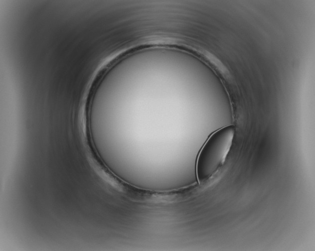 X0000114230840200910161609