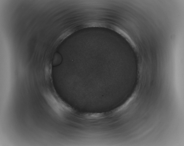 X0000114230841200910161609