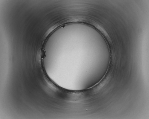 X0000114230842200910161609
