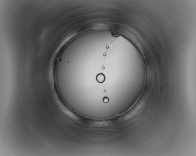 X0000114230843200910161609