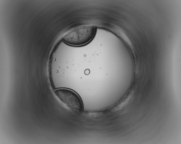 X0000114230847200910161609