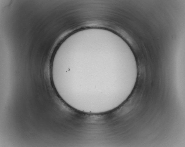 X0000114230848200910161609