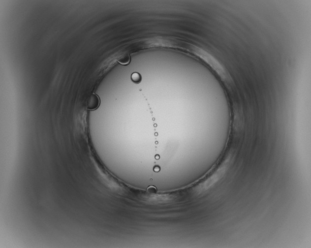 X0000114230849200910161609