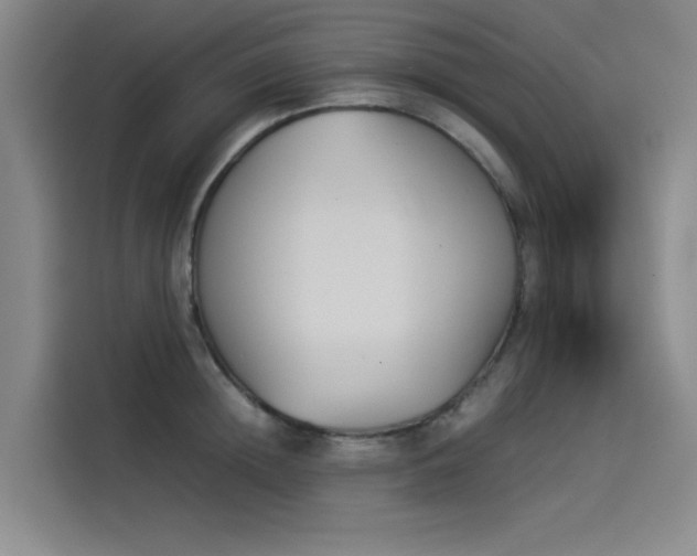 X0000114230852200910161609