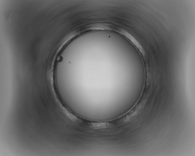 X0000114230853200910161609