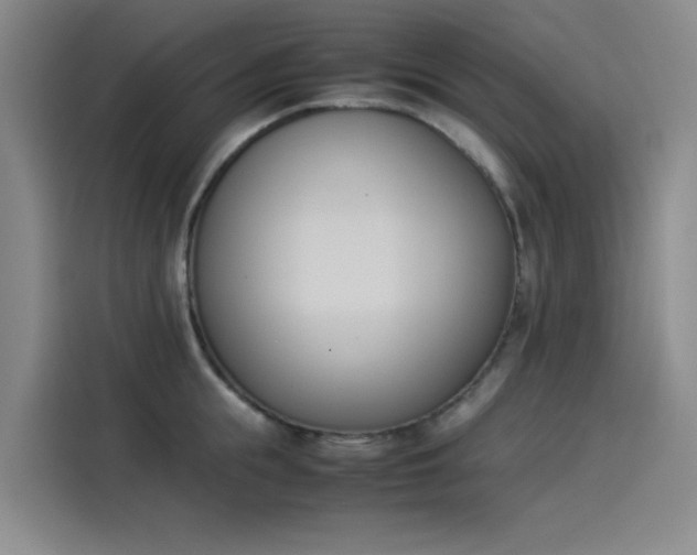 X0000114230855200910161609