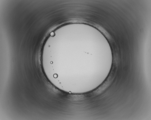 X0000114230856200910161609