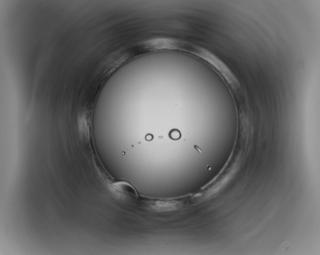 X0000114230857200910161609