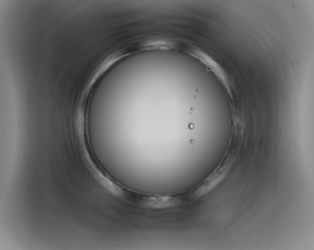 X0000114230859200910161609
